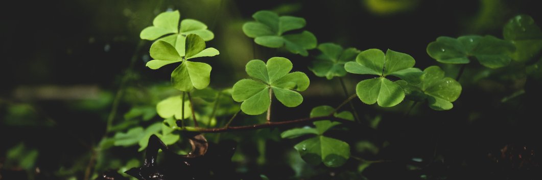 S L O TH (Rest) banner