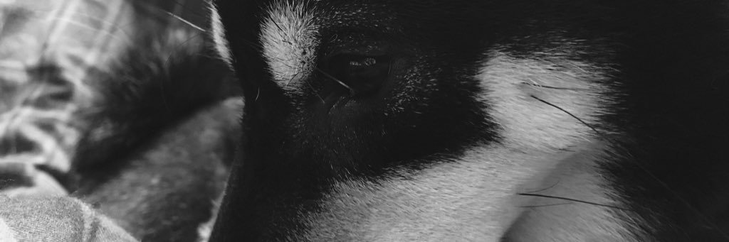 eri___eriguchi's profile banner image