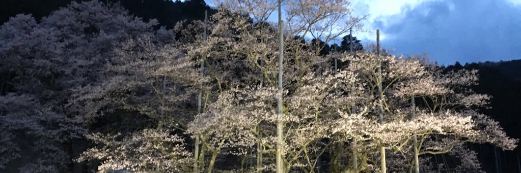 ノヒロ banner
