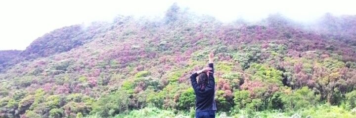 Indianjani's profile banner image