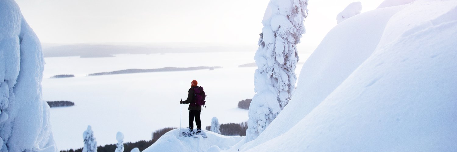 Finland in Namibia banner