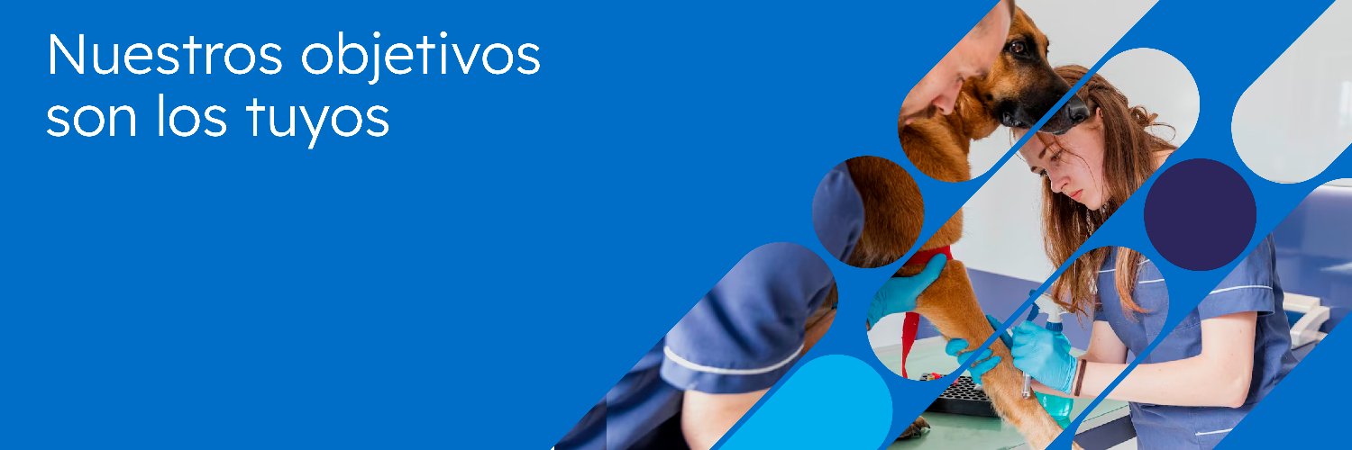 GrupoForbe's profile banner image
