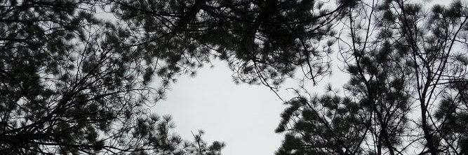 errbh's profile banner image