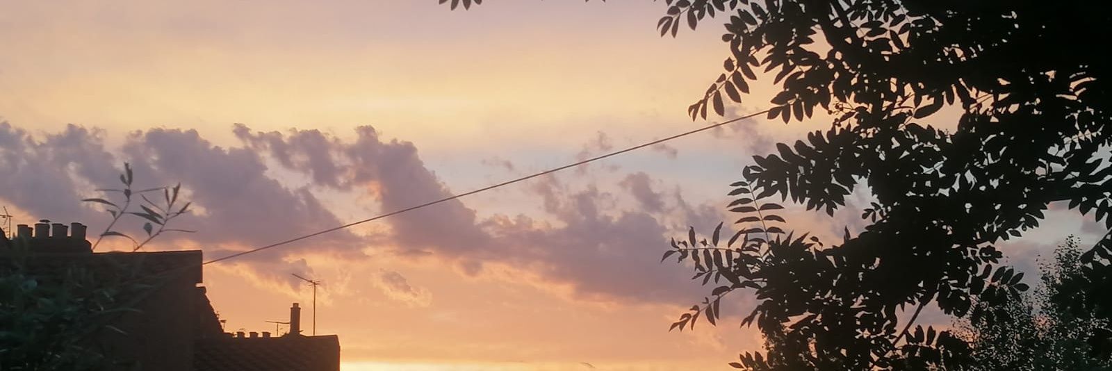 Zippy_Cole's profile banner image