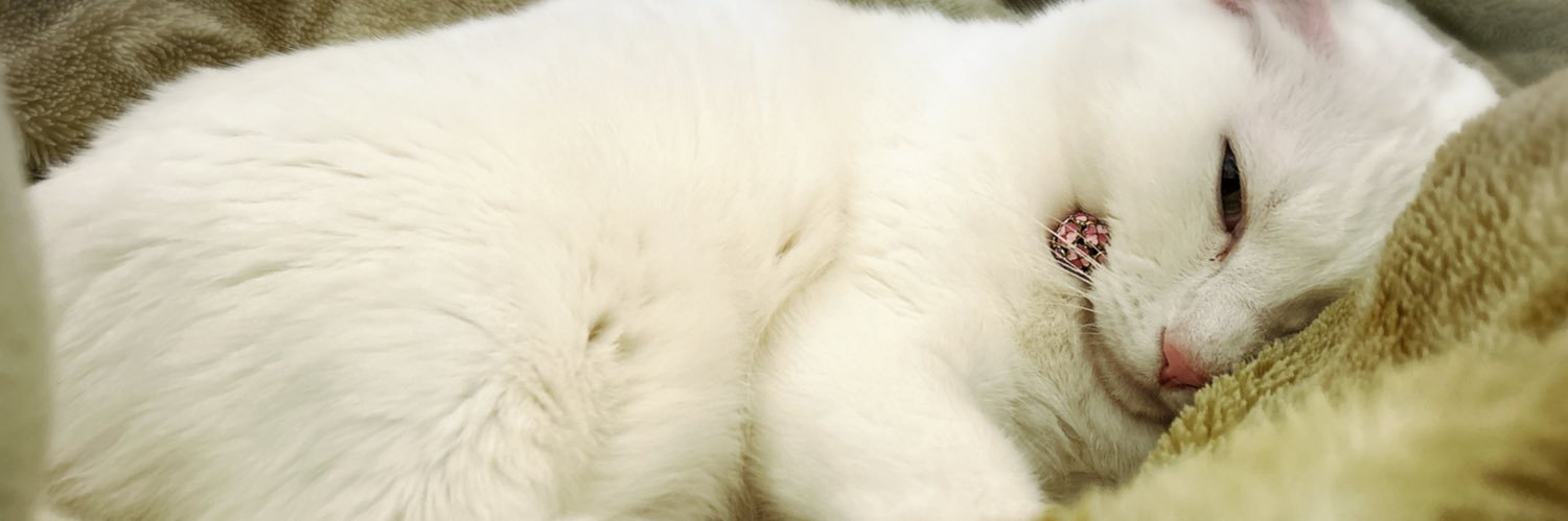 9mrn9's profile banner image