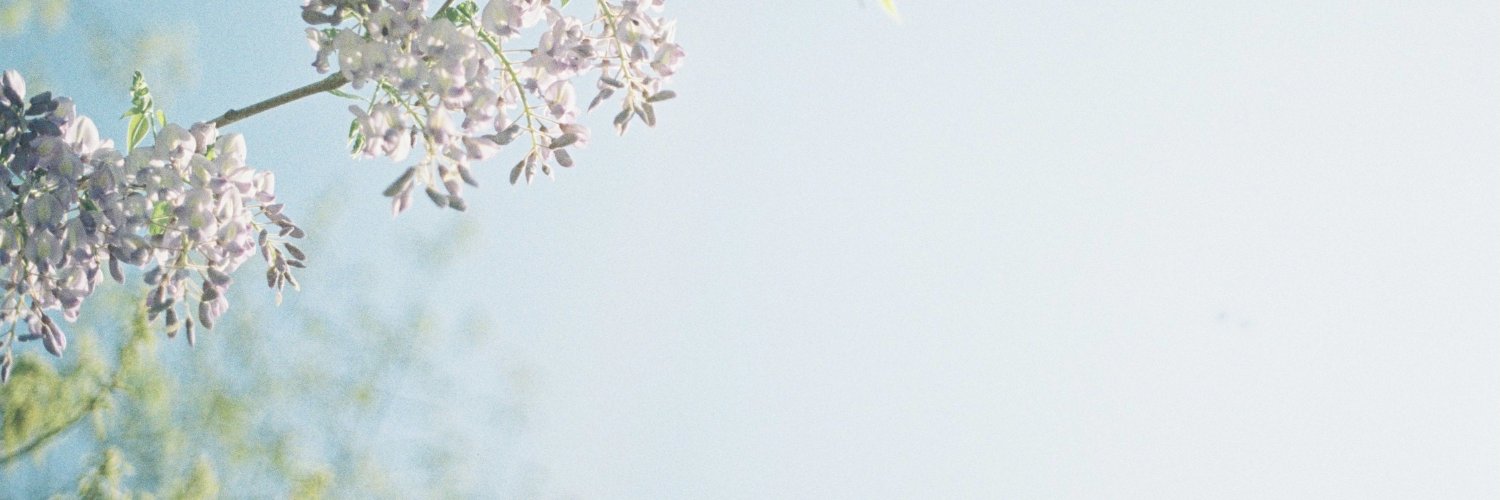 yoppyhimawari's profile banner image