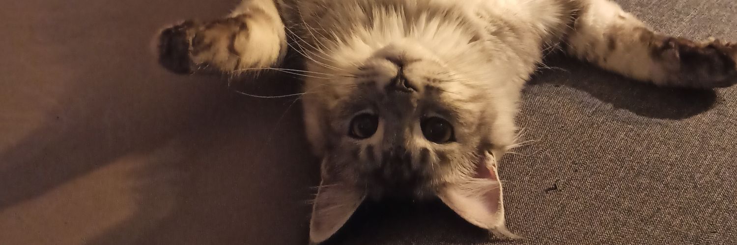 Breuil Allan - eSkAa banner