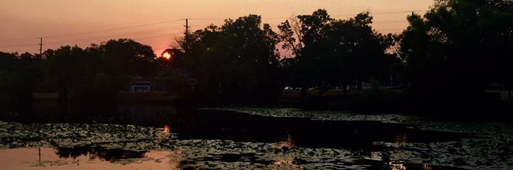 Anthony Nasuti banner