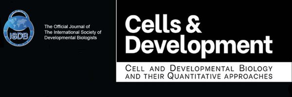 CellsDev Profile Banner