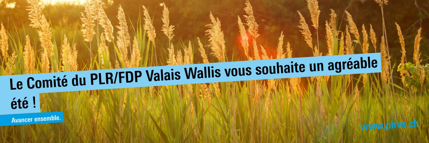 PLR Valais banner