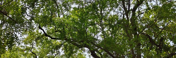 Sarabyeet Profile Banner