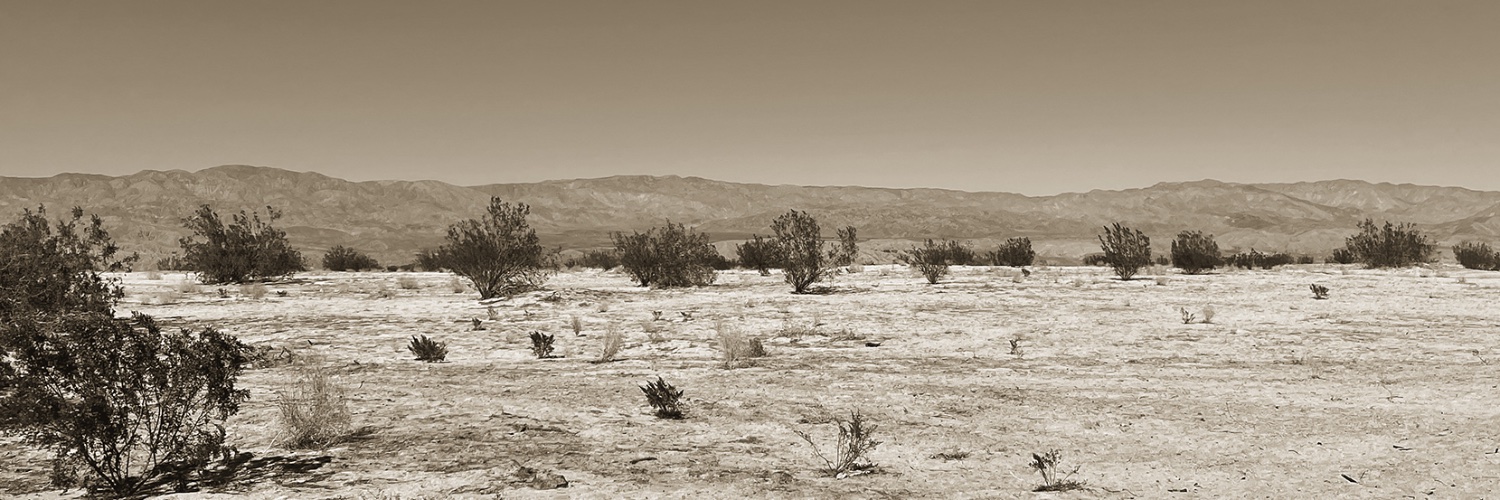 _ProspectArt's profile banner image