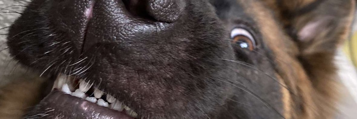 MatCoombs's profile banner image