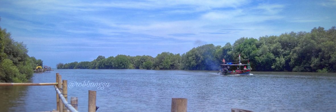 robbangga's profile banner image