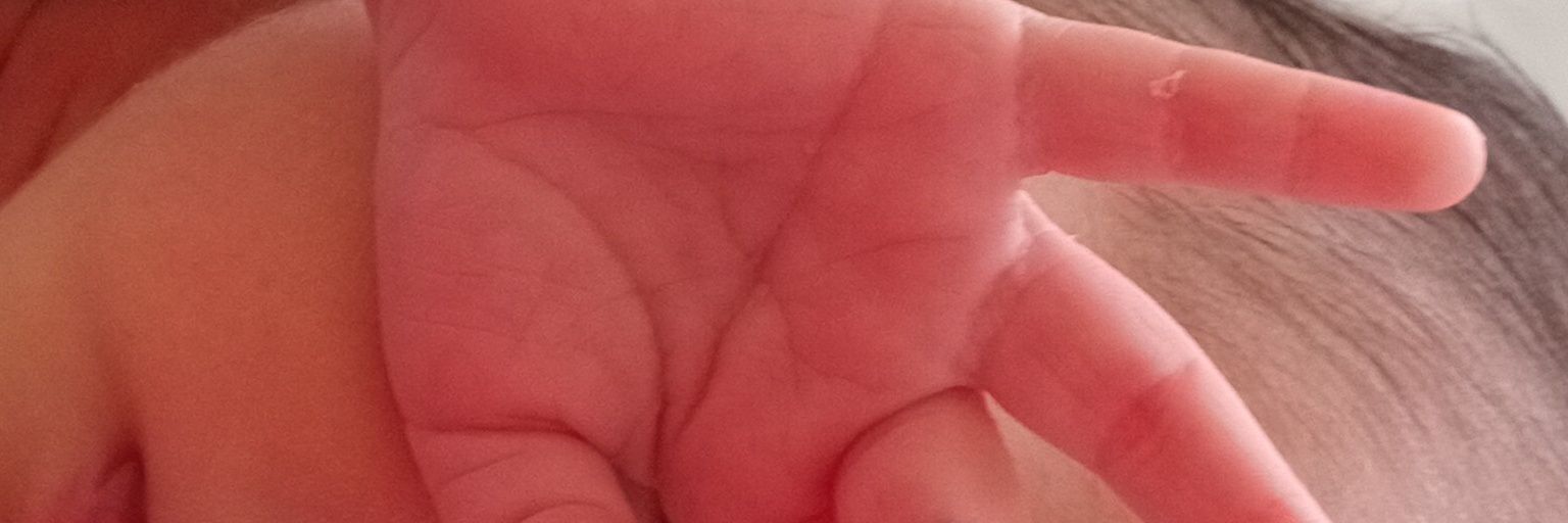 piicacuu's profile banner image