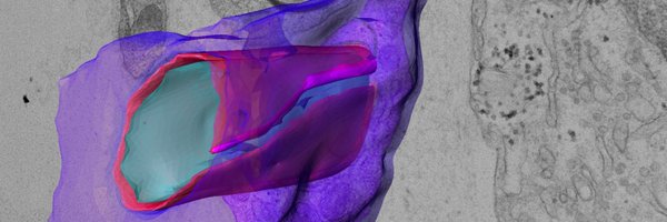 KermanBilal Profile Banner