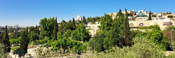 hazemagha74 Profile Banner