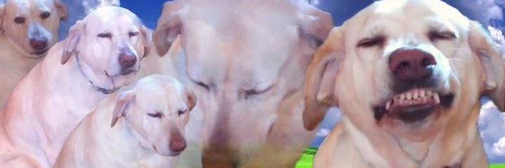 ntrnt_explorer's profile banner image