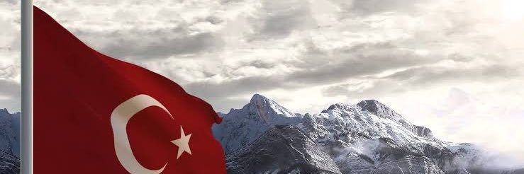 Devletini seven vatandaş banner