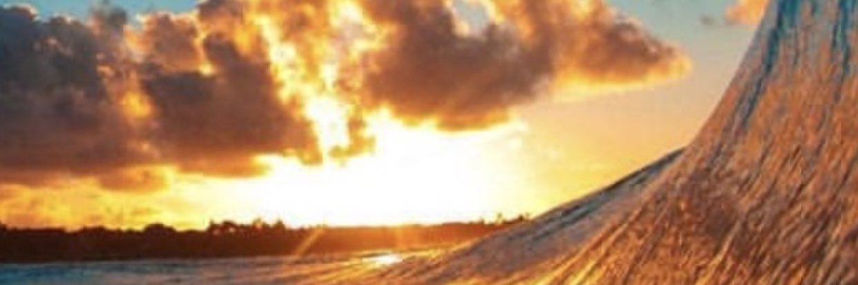 Dan_Fitt's profile banner image