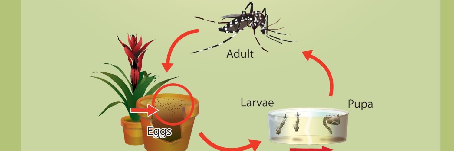 Kern Mosquito & Vector Control District banner