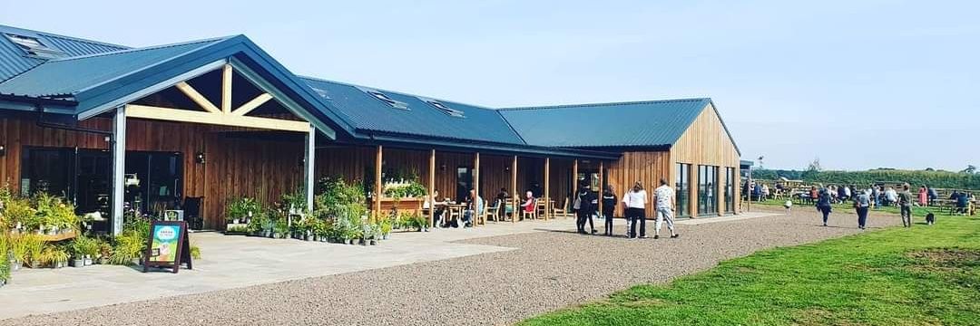 𝐃𝐀𝐋𝐌𝐎𝐑𝐄 𝐅𝐀𝐑𝐌 banner