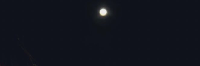 رِيناد🍯. banner