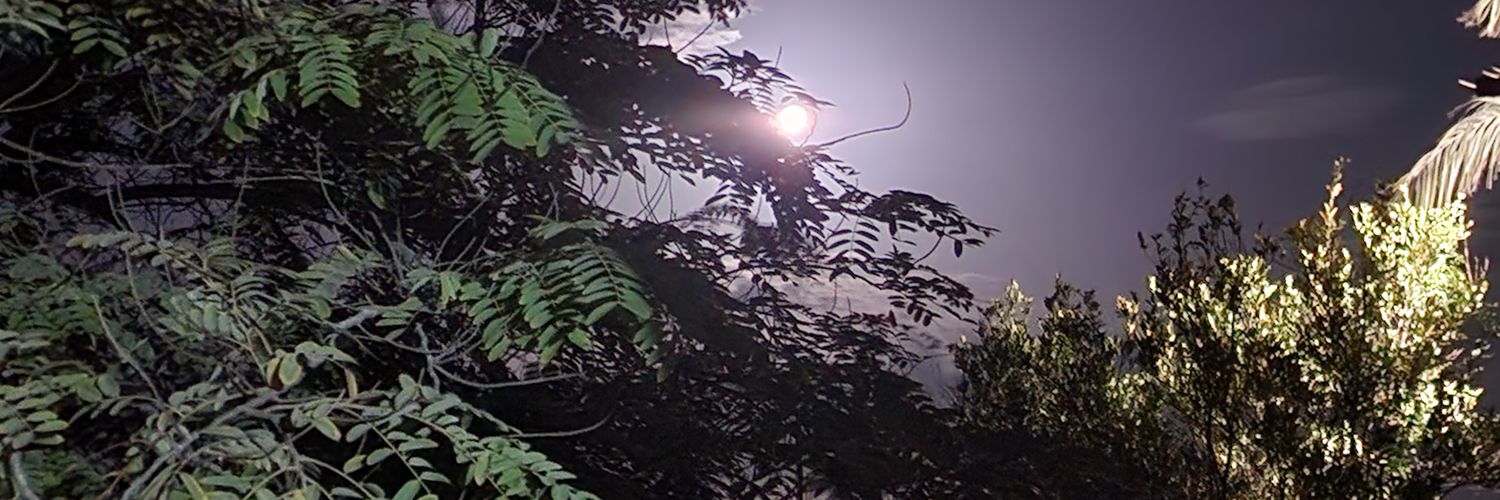 mrashadtw's profile banner image