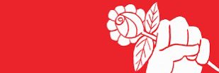 Jack McIntyre 🌹 banner