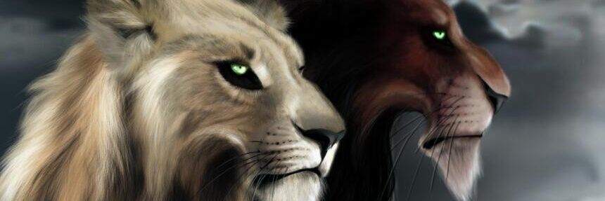 MheetuTheLion's profile banner image