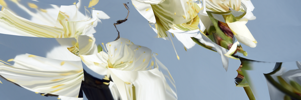 SSBKYH Profile Banner