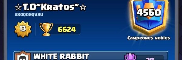 Ligalegadoperu Profile Banner