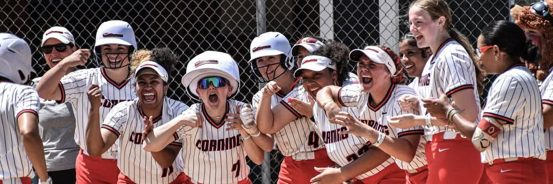 CorningRedBaronsSoftball banner