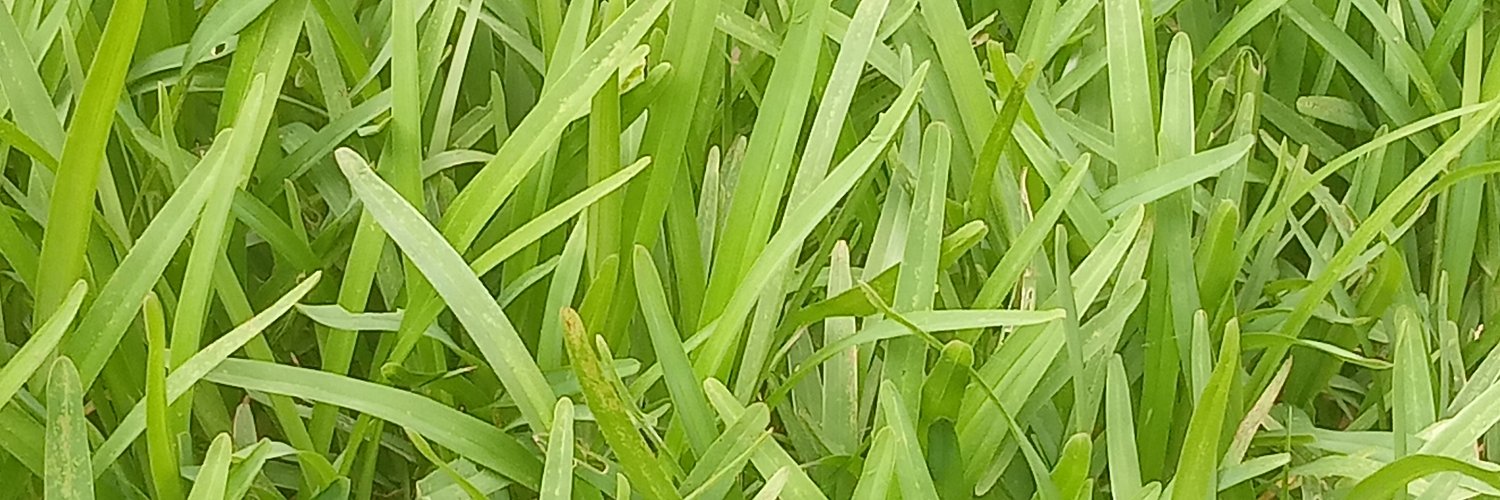 Roald_Connor's profile banner image