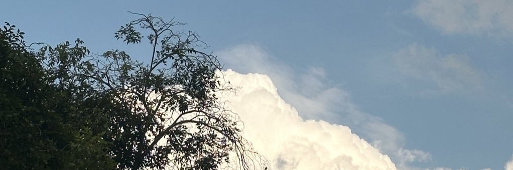 path_______'s profile banner image