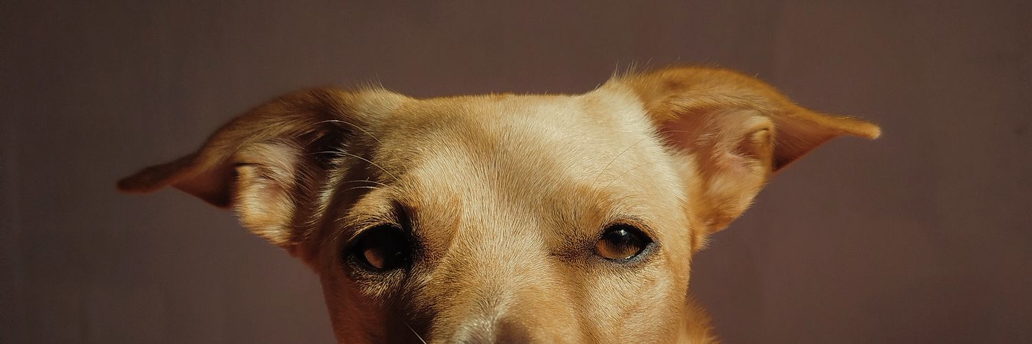 ifyassz's profile banner image