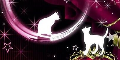 Nuko510's profile banner image