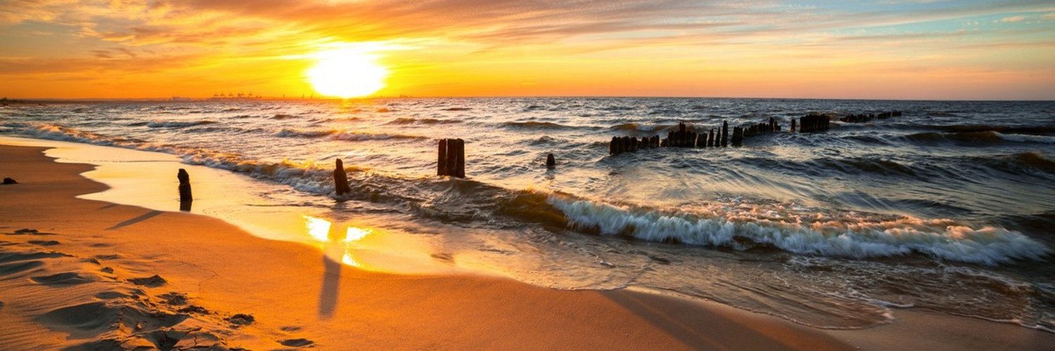 🇵🇱◉•◦pani Irena◦•◉🐾🐾🌿 banner