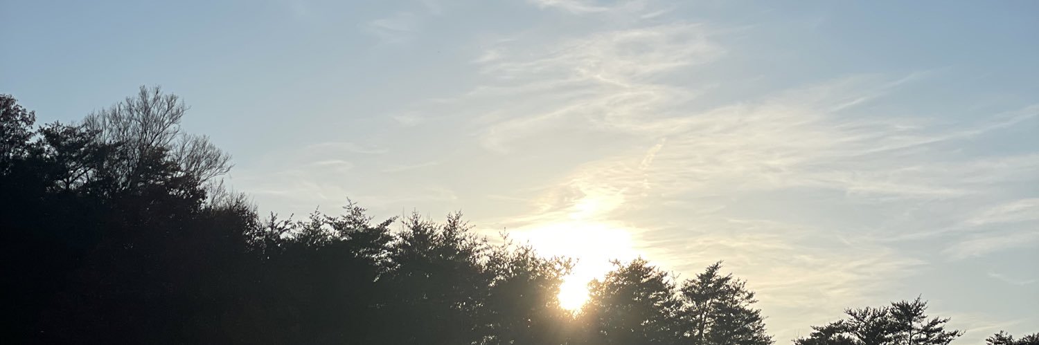Emme_Elle_Cee's profile banner image