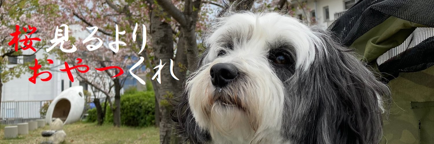 萬作ですけど、なにか⁇ banner