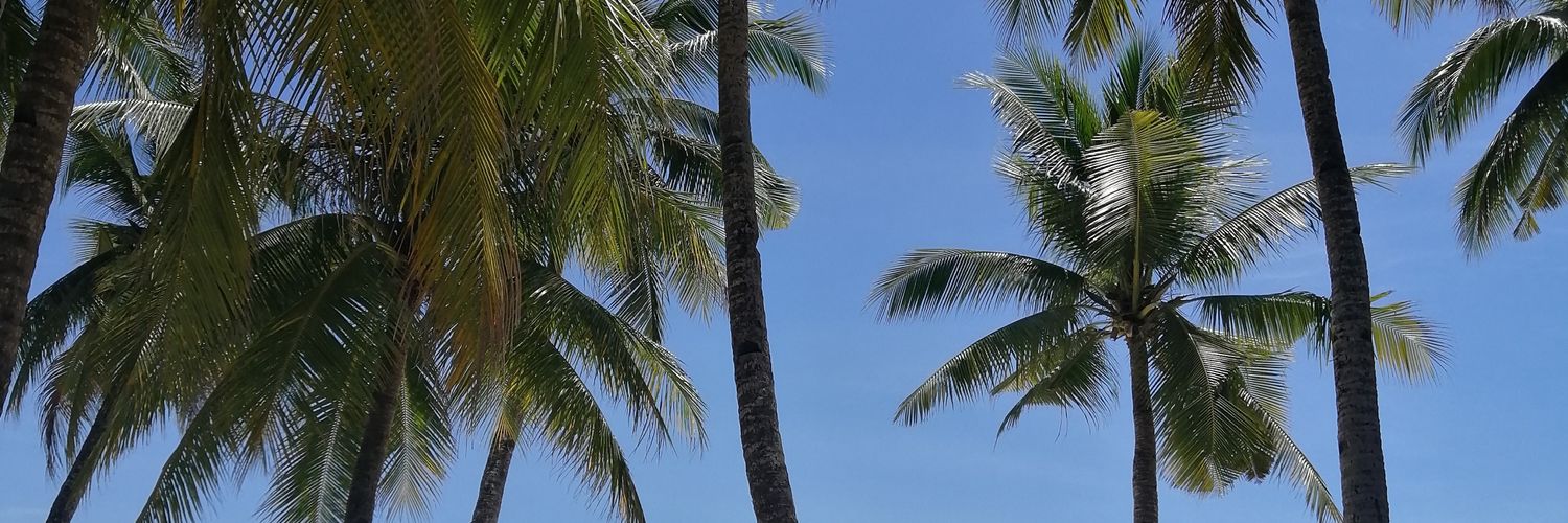 YnaVeronica's profile banner image