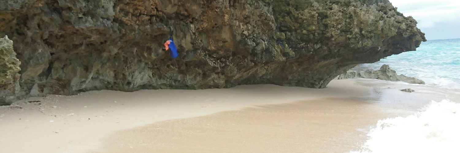 LauriTemmes's profile banner image