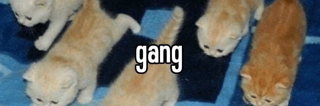 Beater.Boling banner