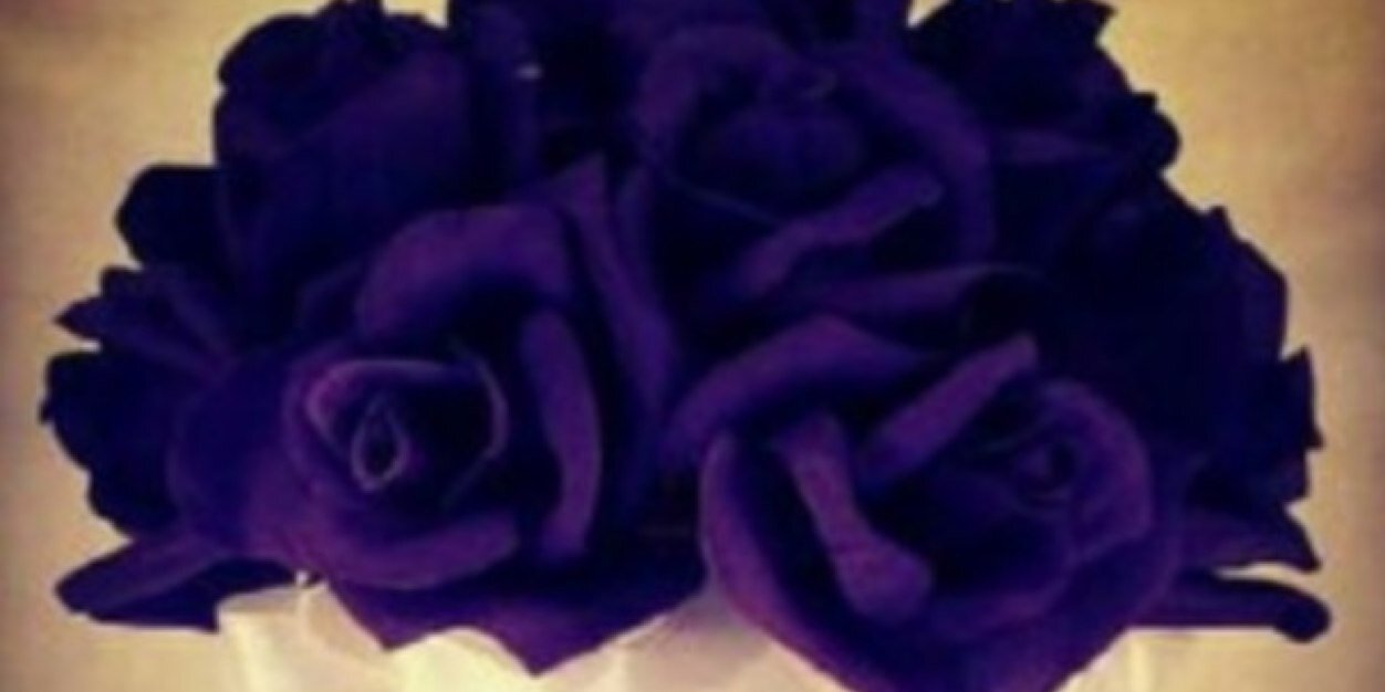 am16n's profile banner image