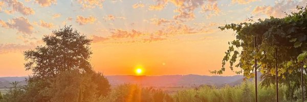 AlexCine5 Profile Banner