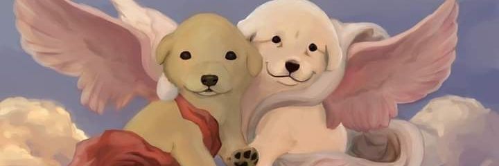 El Gusgus banner