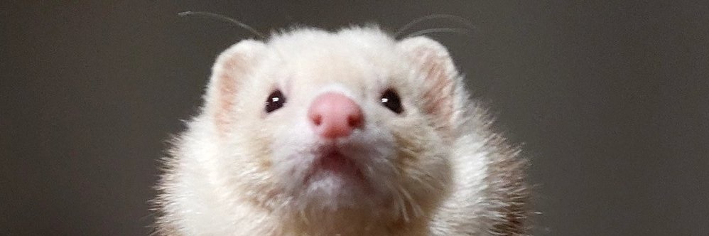 GoatNomadAdrian's profile banner image