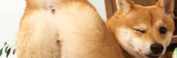 0219_rames's profile banner image