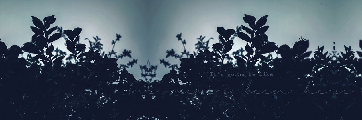 guipsycho's profile banner image