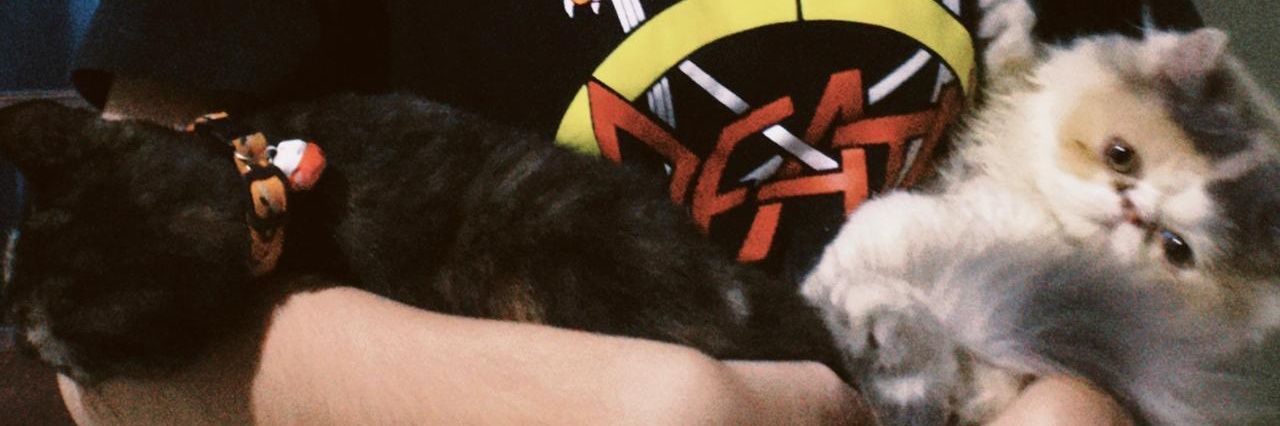 semestafa's profile banner image
